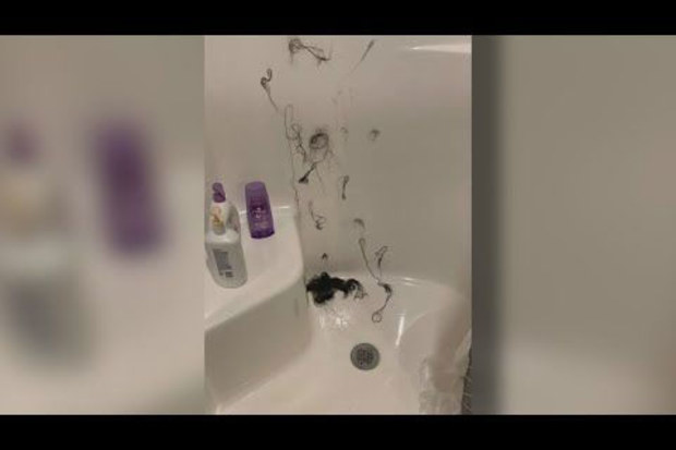 Woman claims shampoo was 'tampered with' after hair falls out