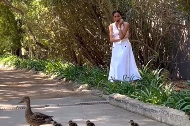 Meghan Markle shared video of ducks crossing the road for Easter