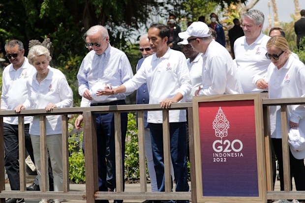 From left, World Health Organisation (WHO) Director-General Tedros Adhanom Ghebreyesus, European Commission President Ursula von der Leyen, US President Joe Biden, Indonesian President Joko Widodo, Australian Prime Minister Anthony Albanese, OECD Secretary-General Mathias Cormann and Italian Prime Minister Giorgia Meloni attend a mangrove planting event at the G20 in Bali.