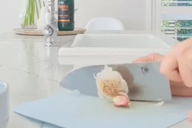 Kitchen hack peeling garlic