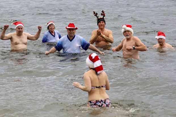 During their traditional Christmas swim, the members of the winter swimming club "Pirrlliepausen" go into Lake Senftenberg, which is four degrees cold.  