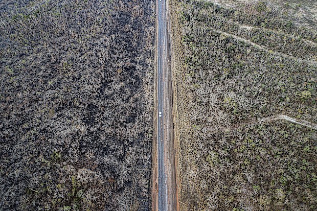 An aerial view of an area of land that has been scorched by fire in the state of Mato Grosso, Brazil, 20 August 2019. EPA/ROGERIO FLORENTINO