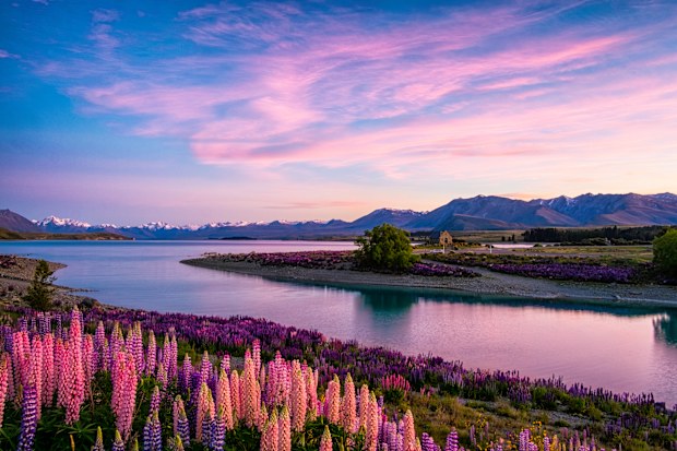 Lake Tekapo at dawn, New Zealand South Island.