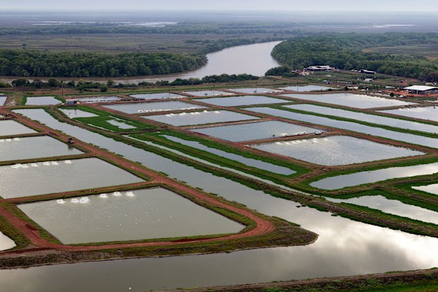 Humpty Doo farm 
