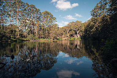 4. Lane Cove National Park