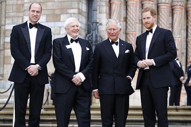 Prince Harry and King Charles