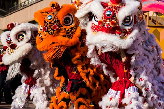 Sydney prepares to celebrate the Lunar New Year