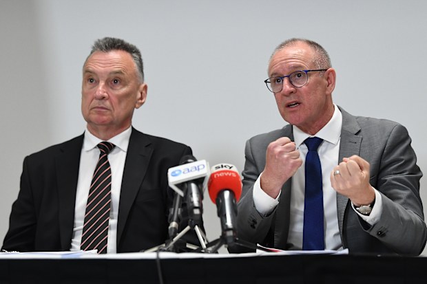 Craig Emerson (left) and Jay Weatherill critisised Albanese's plans.