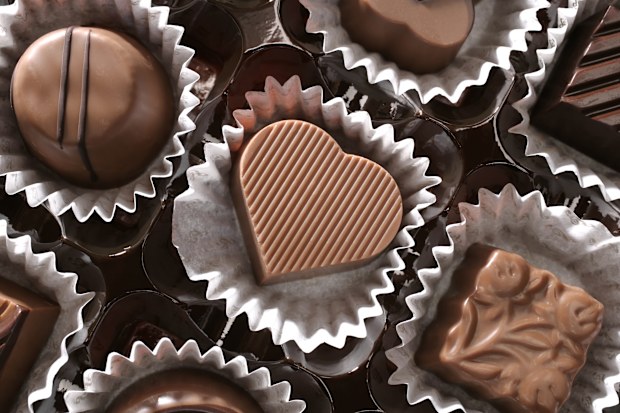 close up shot of chocolates in a row.
