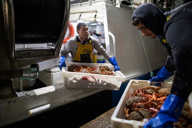 French fishermen empty their boat after a blockade at the port of Saint-Malo, western France, Friday, Nov. 26, 2021.