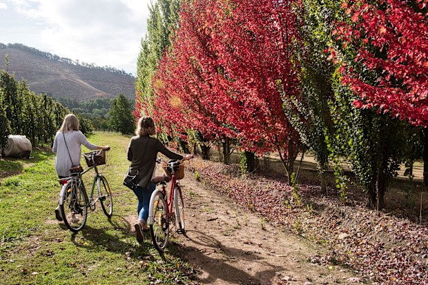 Nightingales Apple Orchards Victoria