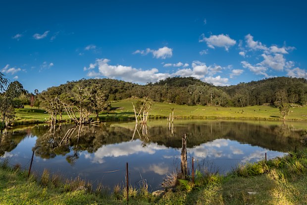 Hunter Valley Australian wine region rural panorama scene.