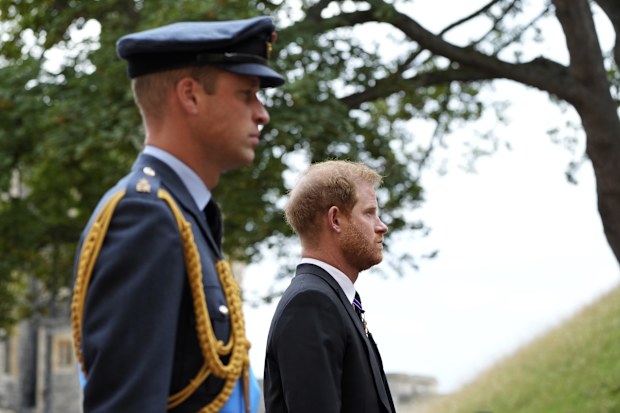 Prince William and Prince Harry relationship 
