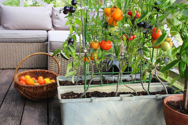 hobbies that will save you money and make you money