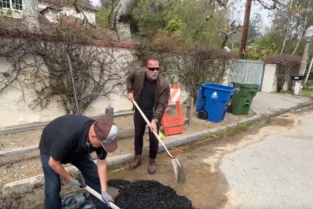 Arnold Schwarzenegger terminates neighbourhood pothole