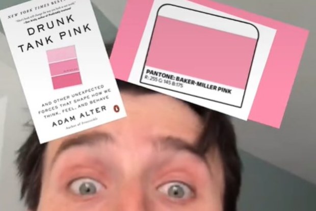 'Baker-Miller' pink
