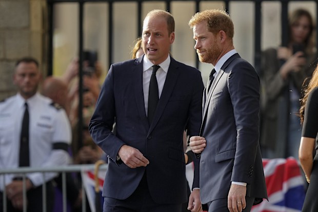 Prince Harry reunion with King Charles prompts question over whether it  could lead to a breakthrough in strained relationship with Prince William |  Opinion | Nine.com.au