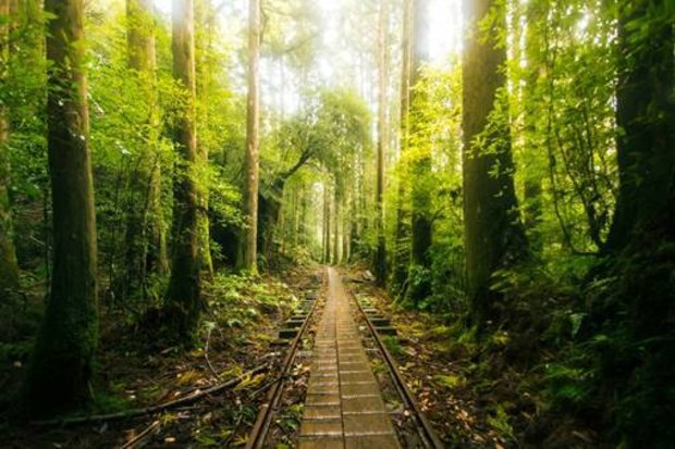 japan travel