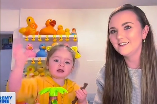 Single mum spends 5 days transforming toddler's bedroom into 'duck wonderland'