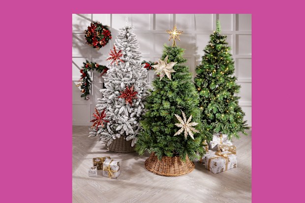 Aldi Christmas trees