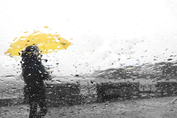 Cold rainy weather umbrella generic