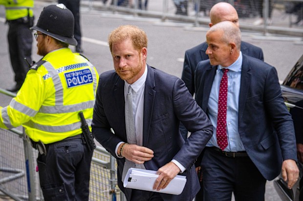 prince harry visa