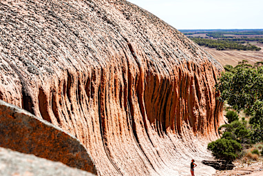 Check out the wave rock