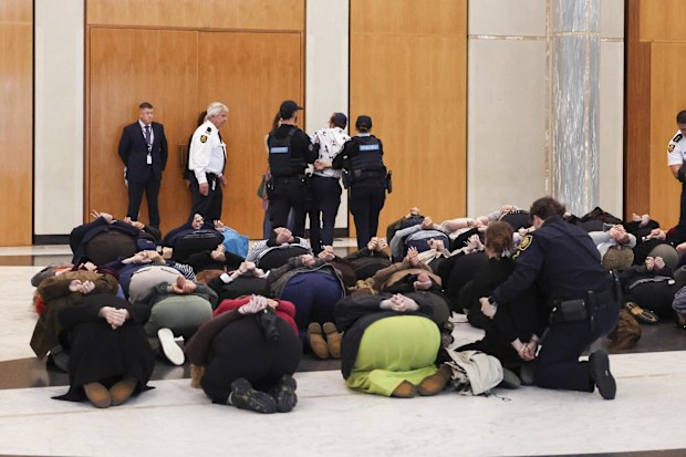 Parliament House security and AFP remove pro-Palestine protestors from the marble foyer of Parliament House in Canberra on Tuesday 26 May 2026.  