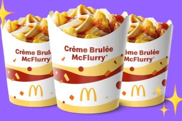creme brulee pie returns but the creme brulee mcflurry does not