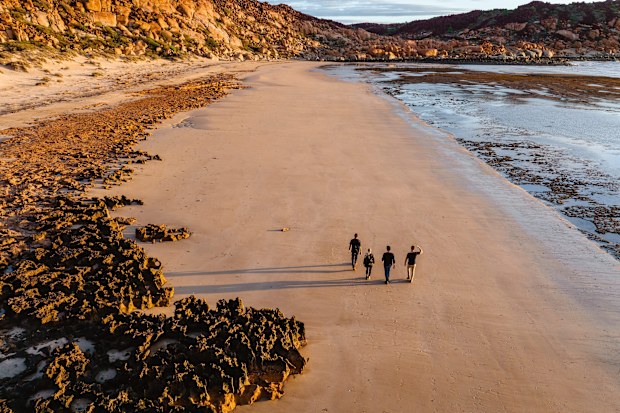 Rock Art Tours with Murujuga Aboriginal Corporation, Pilbara