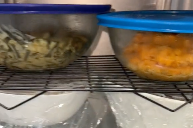 The hack is a great space saver and helps you keep your fridge organised.