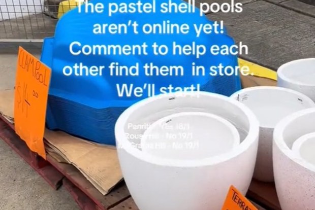 bunnings pastel clam shells