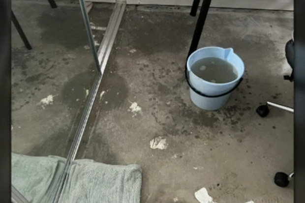 Several Queensland homes have been inundated by mould after the floods.