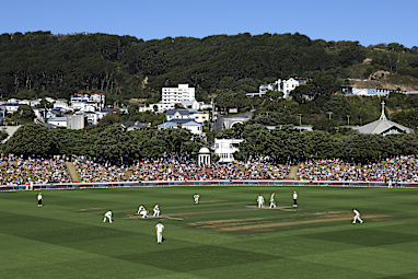 9. Wellington