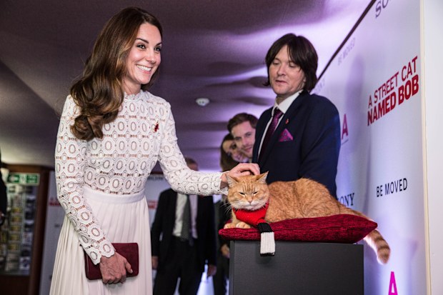 Kate Middleton wears band aid plaster on hands