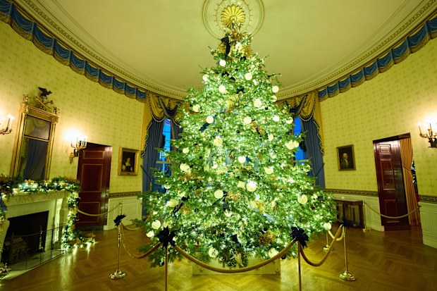 A Christmas tree decorates the Blue Room of the White House during a press preview of the Christmas decorations "Home is Where the Heart Is," December 1, 2025, in Washington.