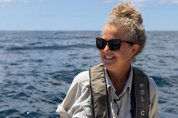 Sarah Male helps release Tama the Turtle, who came into the Taronga Wildlife Hospital as a hatchling and pooed plastic for the first six days following its admission.