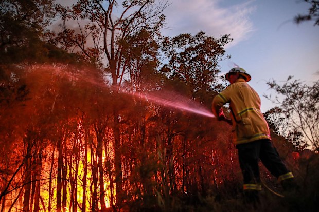 A firefighter attempts to extinguish a bushfire