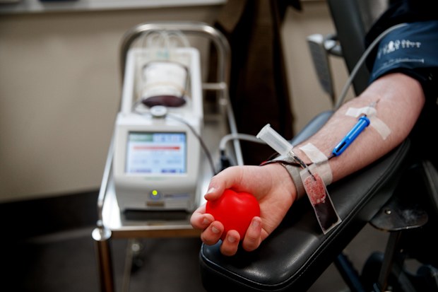 There are several eligibility criteria that must be met before you donate blood, exp[erts warn after the Bondi Beach shooting.