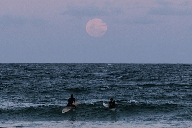 The full moon rises at Manly Beach ahead of a total lunar eclipse in Sydney on November 08, 2022 in Sydney, Australia.