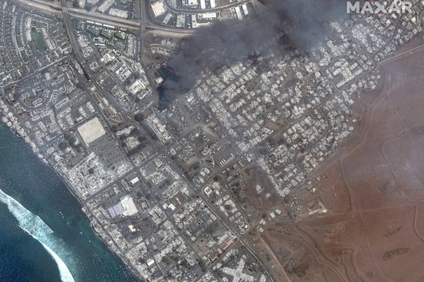 Hawaii wildfires