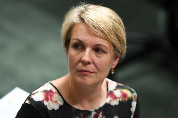 Shadow Education Minister, Tanya Plibersek, has announced an eight-part package, including 100 scholarships a year for Asian language native speakers.