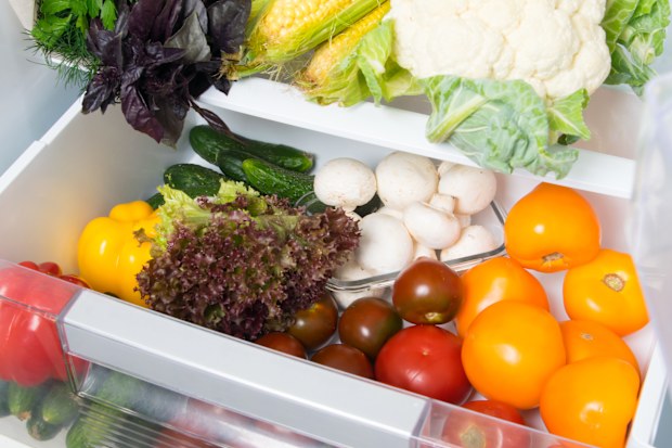 Fridge organisation