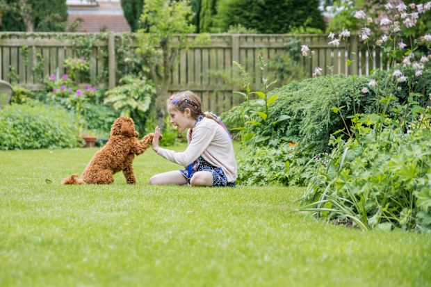 Girl with pet dog