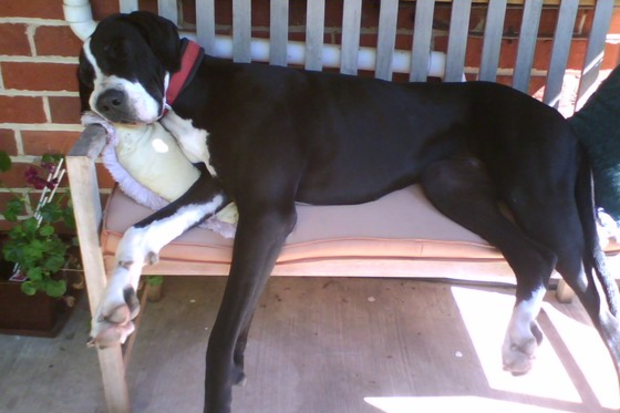 Ray and Jennie adopted Ella.