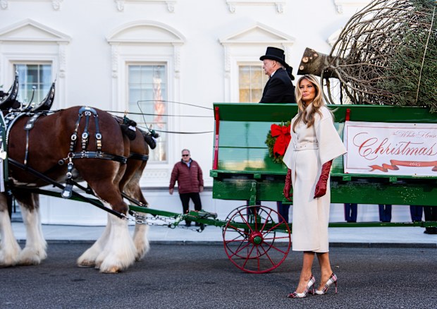First lady Melania Trump receives the official 2025 White House Christmas Tree, November 24, 2025, in Washington.