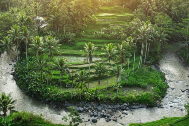 Kimpton Bali Ubud will have 101 rooms close to the sacred WOS River, within walking distance of Ubud Palace.