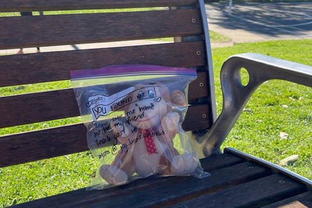Sydney Joy Bear drive