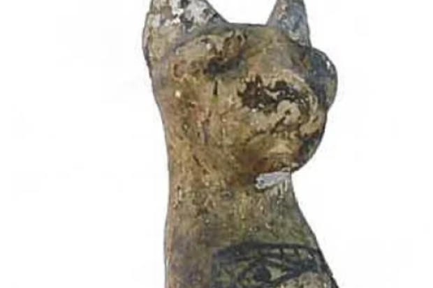 "Priceless" Egyptian artifacts have been stolen from a Queensland museum, police said.