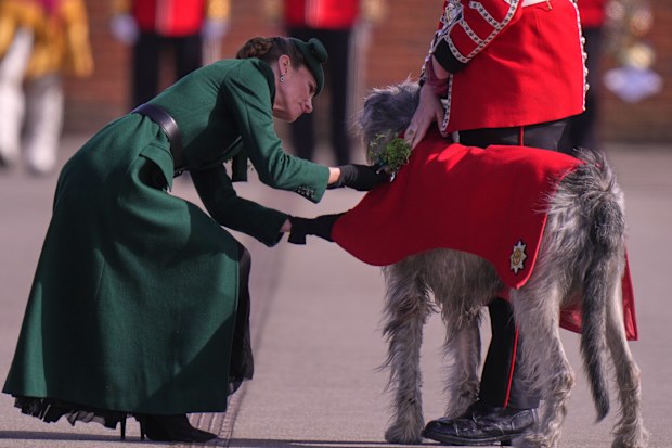 Kate, the Princess of Wales